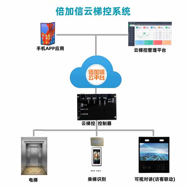 ���ݿ�ϵ�y
